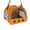 Orange, variant on Portable Breathable Pet Carrier 9x8x7.5 Inch Backpack for Small Birds Parrots Hamsters Vet Visit with Shoulder Strap