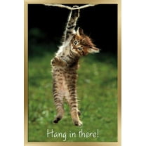 Famous Kitten Hang In There Poster Wall Poster, 22.375" x 34", Framed