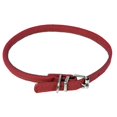 thumbnail image 1 of Dogline L1004-3 16-19 L x 0,38 Po L. Collier Rond en Cuir, Rouge, 1 of 1