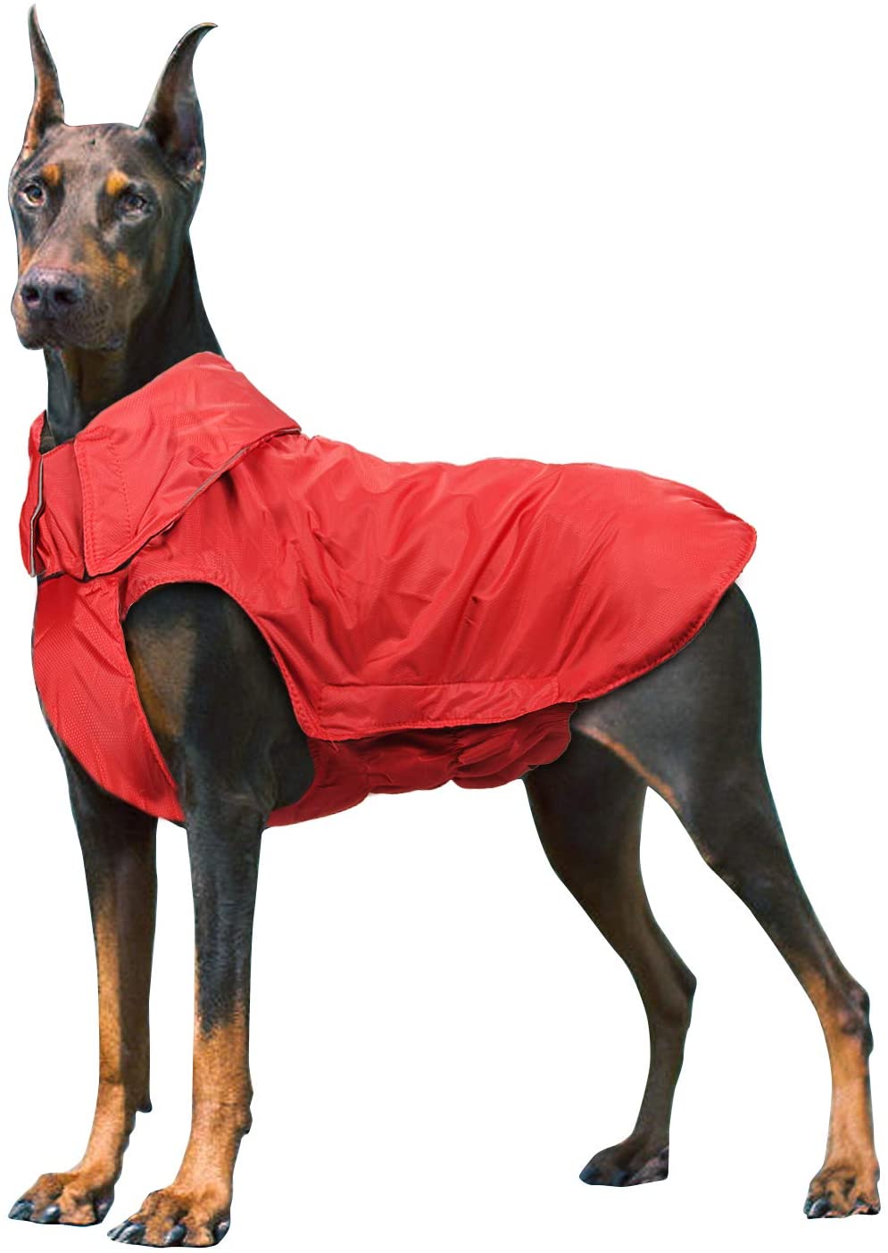 raincoat for dogs walmart