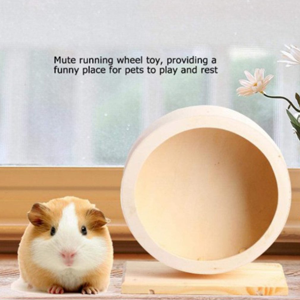 guinea pig running wheel