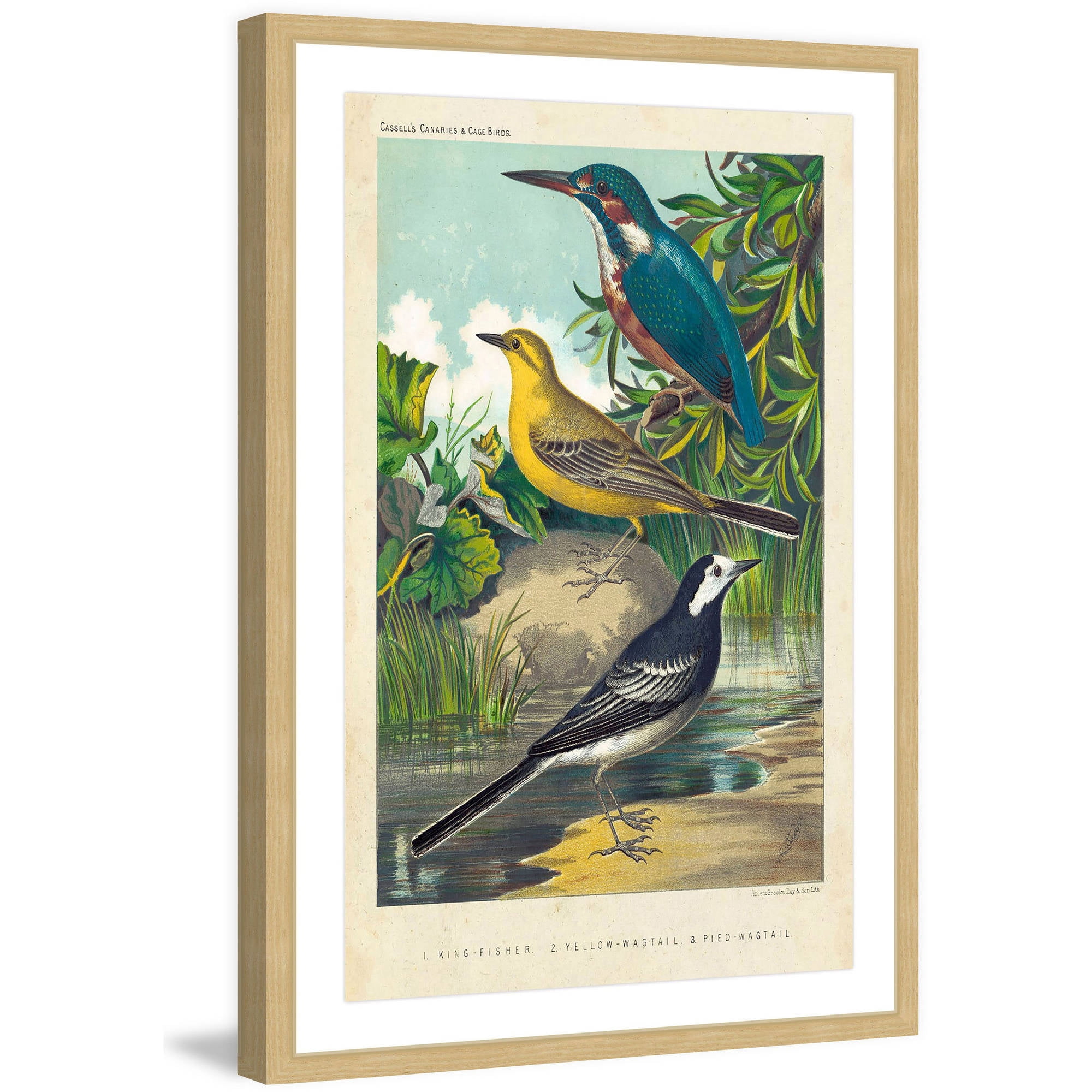 Marmont Hill "Kingfisher & Wagtail" Framed Painting Print