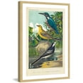 thumbnail image 2 of Marmont Hill "Kingfisher & Wagtail" Framed Painting Print, 2 of 6
