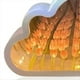 thumbnail image 5 of Lámpara de Noche con Forma de Tulipán en Forma de Nube, Hecha A Mano, con Material Bricolaje, para Decoración Hogar, Espejo, Lámpara de , Regalo Cumpleaños, San Valentín., 5 of 5