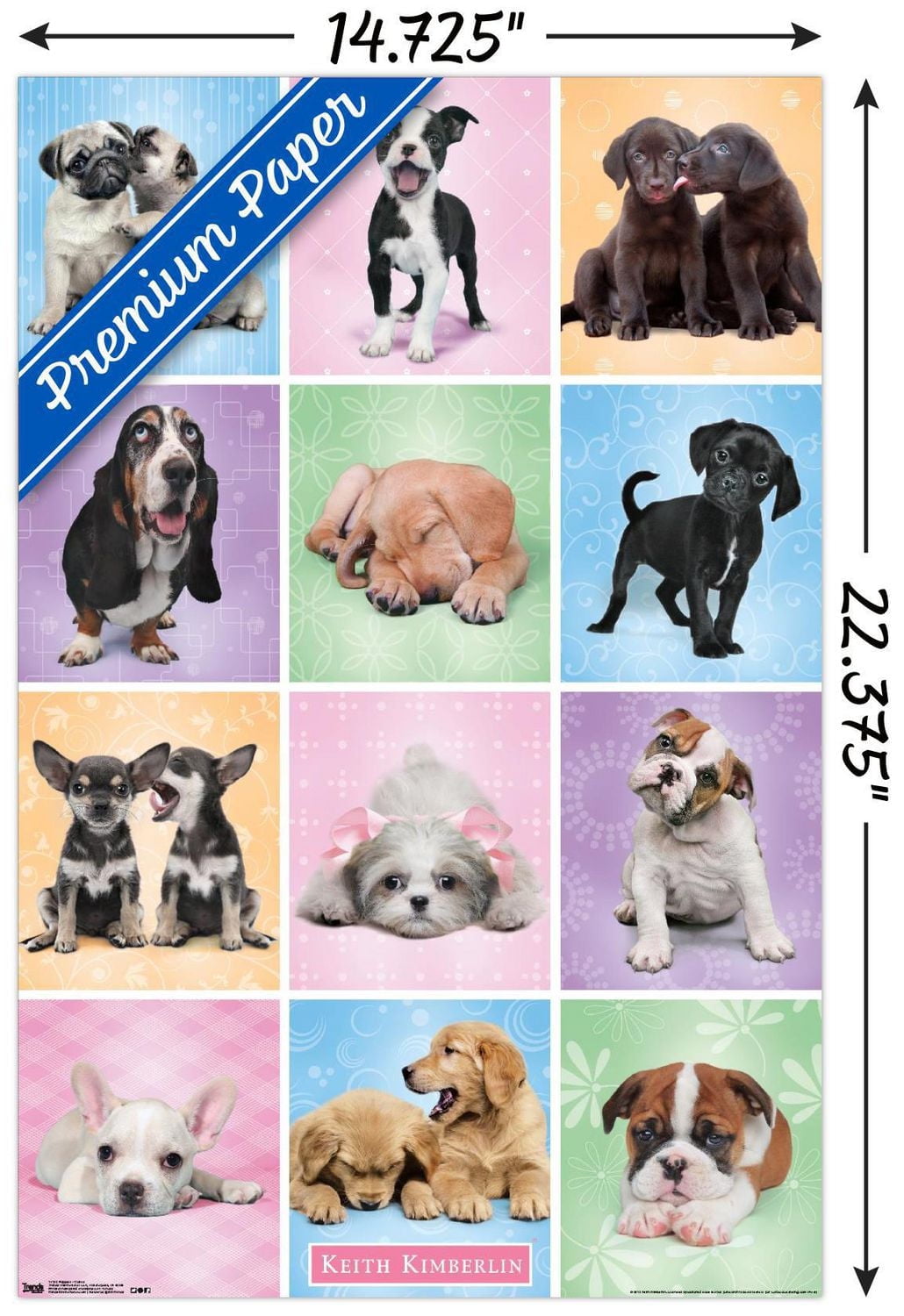 Keith Kimberlin - Puppies - Cuties Grid