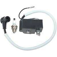 Ignition Coil for CS-7310P, CS-7310PW, CS-7310SX, A411001950, P200001660, 731SX, Stable Spark, Easy Installation