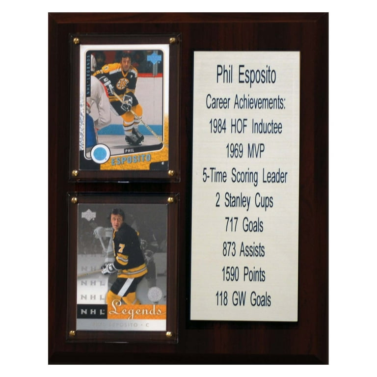  NHL Wayne Gretzky Edmonton Oilers 8 Card Plaque
