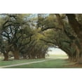 thumbnail image 3 of Guion, William 18x13 Black Modern Framed Museum Art Print Titled - Alley of the Oaks, 3 of 5