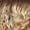H6/GOLDTOFFEE, variant on Mane Concept Red Carpet Synthetic Blonde Harmony HD Lace Wig Long Loose Body Curl 24" - RCBH272 LAICEE (SR6/GOLDBLONDE)