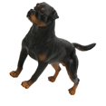 thumbnail image 3 of Adornos de simulación de rottweiler, decoración de escritorio, juguete educativo para niños, 3 of 15