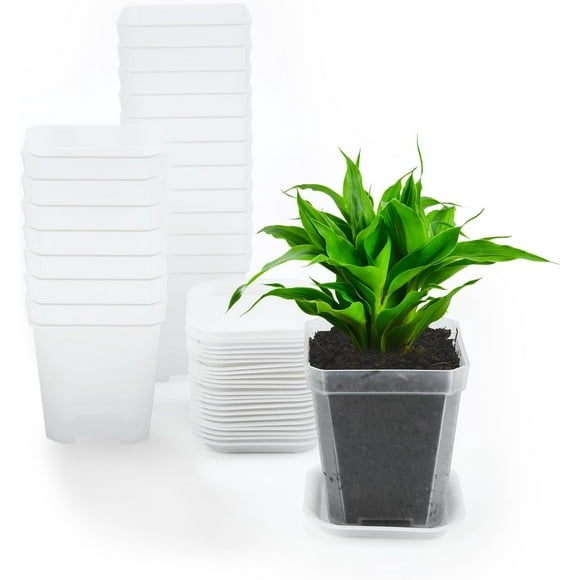 12pcs 7cm Transparent Plastic Square Flower Pots with Tray, Small Flower Pots Thick Nursery Seed Seedling Pots for Herbs.