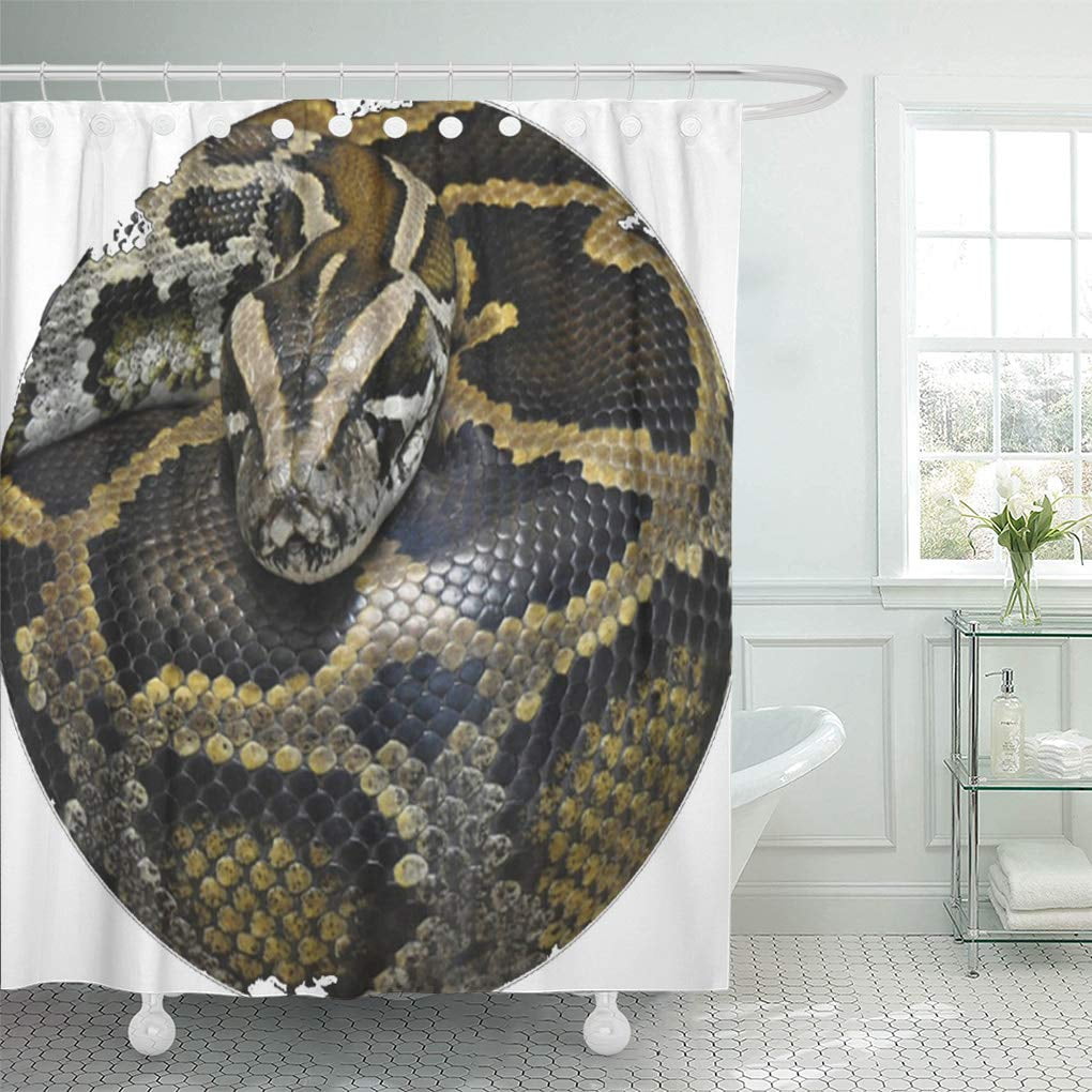 SUTTOM Green Snake Royal Python Products Reptile Camo Cool Serpent