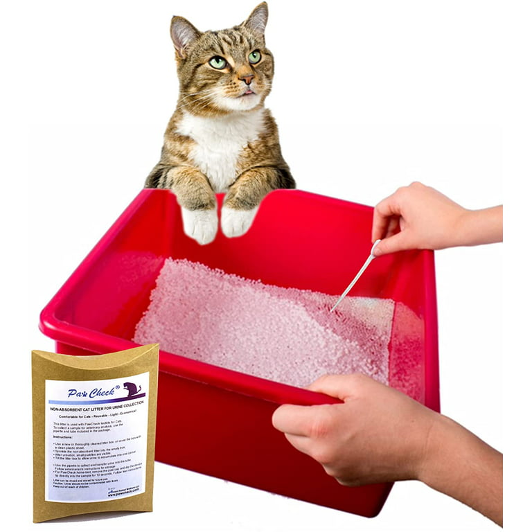 PawCheck Cat Litter for Urine Collection - Reusable and Non-Absorbent Cat  Urine Collection Home Kit Intended to Monitor Cat Health 