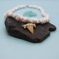 thumbnail image 6 of Shark Tooth Necklace - 20" Puka Shell Choker, Fossil Teeth Beach Surf Necklaces, 6 of 7