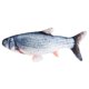 thumbnail image 1 of Simulación eléctrica Fish USB Pet Toys Wdftyju Libre de BPA, 1 of 2
