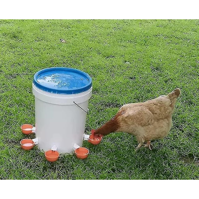 5 Piezas, Bebedero para Gallinas, Kit de Bebedero Automático para Gallinas, Bebederos Automáticos para Pollos, Adecuado para Aves, Aves de Corral, Palomas, Pollos, Patos-scntcv