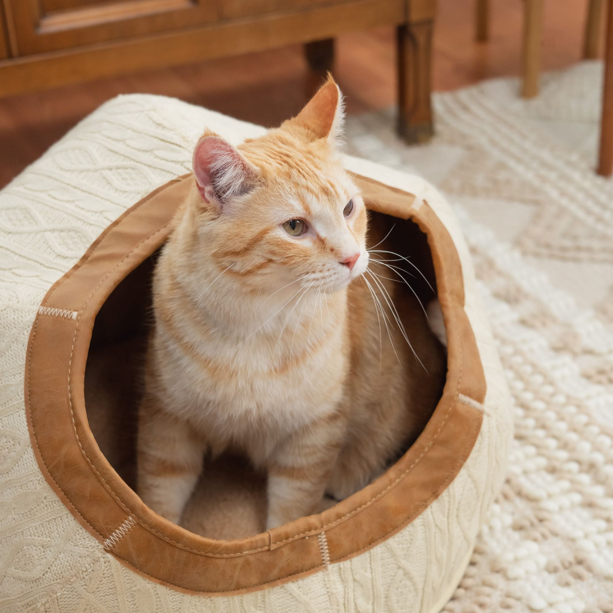 Kitty City Premium Cave Bed