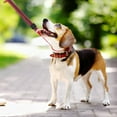 thumbnail image 3 of Miangastore Slip Dog Leash For Training Anti Pull Dog Leash Comfortable Control Rope For Walking Hunting And Fetch All Dog Breed, 3 of 8