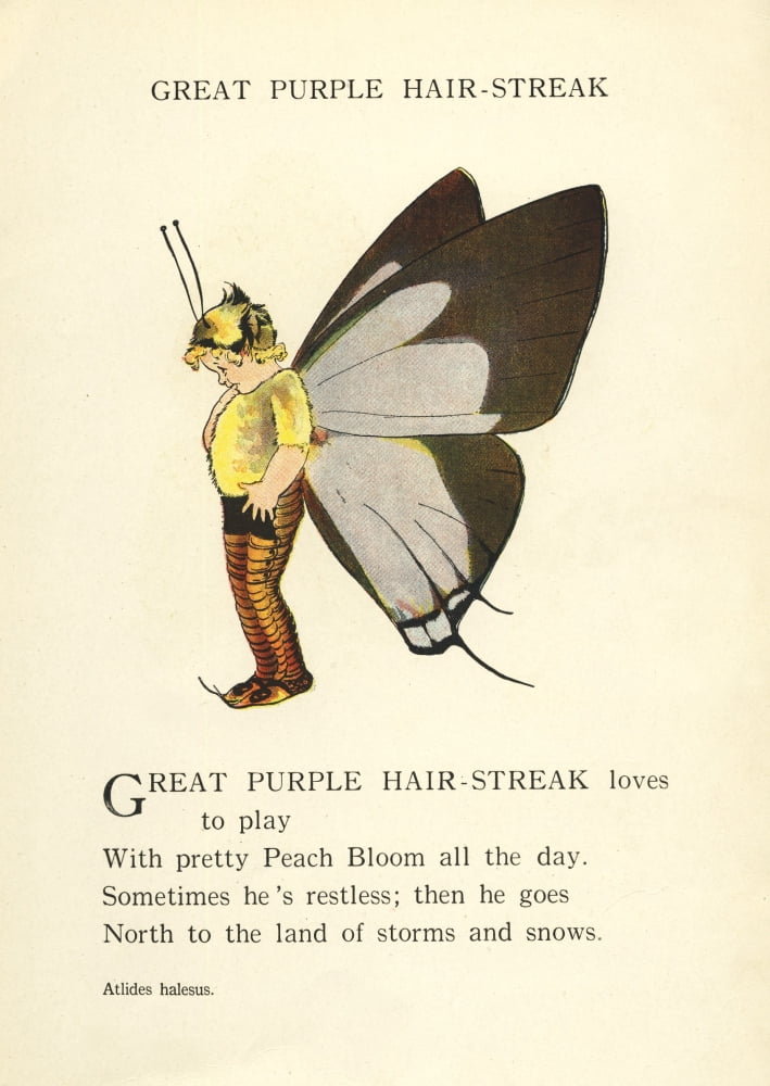 Butterfly Babies 19
