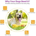 thumbnail image 3 of Interactive Dog Toy, Squeaker Chew Toys, Dog Accessory Games,, 3 of 5