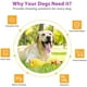 thumbnail image 5 of Juguete interactivo para perros, juguetes para masticar con chirriador, juegos de accesorios para perros, regalo de Navidad de pollo para cachorros grandes, 5 of 5