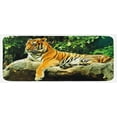 thumbnail image 1 of Tiger Kitchen Mat, Resting Feline in the Forest on a Large Rock Sublime Carnivore Beast Nature, Plush Decorative Kitchen Mat with Non Slip Backing, 47" X 19", Multicolor, by Ambesonne, 1 of 1