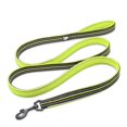 thumbnail image 1 of Truelove Soft Mesh Nylon Dog Leash Double Trickness  Running Reflective Safe Walking Training Pet Dog Lead Leash Stock 200cm Hot ShopWise Round, 1 of 17