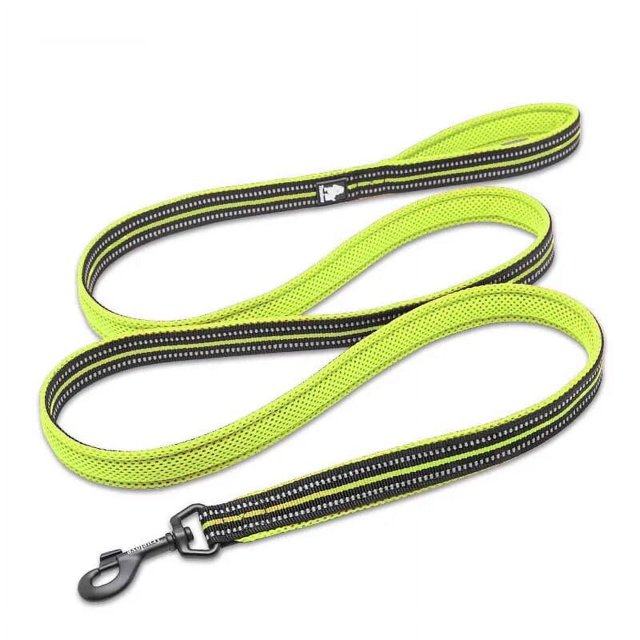 Truelove Soft Mesh Nylon Dog Leash Double Trickness Running Reflective Safe Walking Training Pet Dog Lead Leash Stock 200cm Hot ShopWise Round