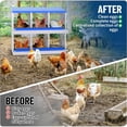 thumbnail image 6 of EastVita 6 Holes Chicken Nest Box Chicken Nesting Boxes for Laying Eggs with Ventilation Holes and AntiPeck Design Space-Saving Design Nesting Box Suitable for Hens and Ducks Blue, 6 of 7
