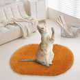 thumbnail image 2 of Soft Oval Carpet Floor Mat 16x24 Inch Absorbent Non Slip Washable Shaggy Area Rug for Bedroom Living Room Bathroom Entrance Home Decor, Coffee-Colored 40*60 Rug *1, 2 of 5