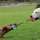 thumbnail image 2 of Juguete Masticable Para Mascotas Cachorro Interactivo Cuerda De Entrenamiento Molar Juguete Para Perros Juguete De Pelota De Goma Juguete Multifuncional Para Mordeduras Molares Para Mascotas Juguete Moyic PT000924-00, 2 of 6