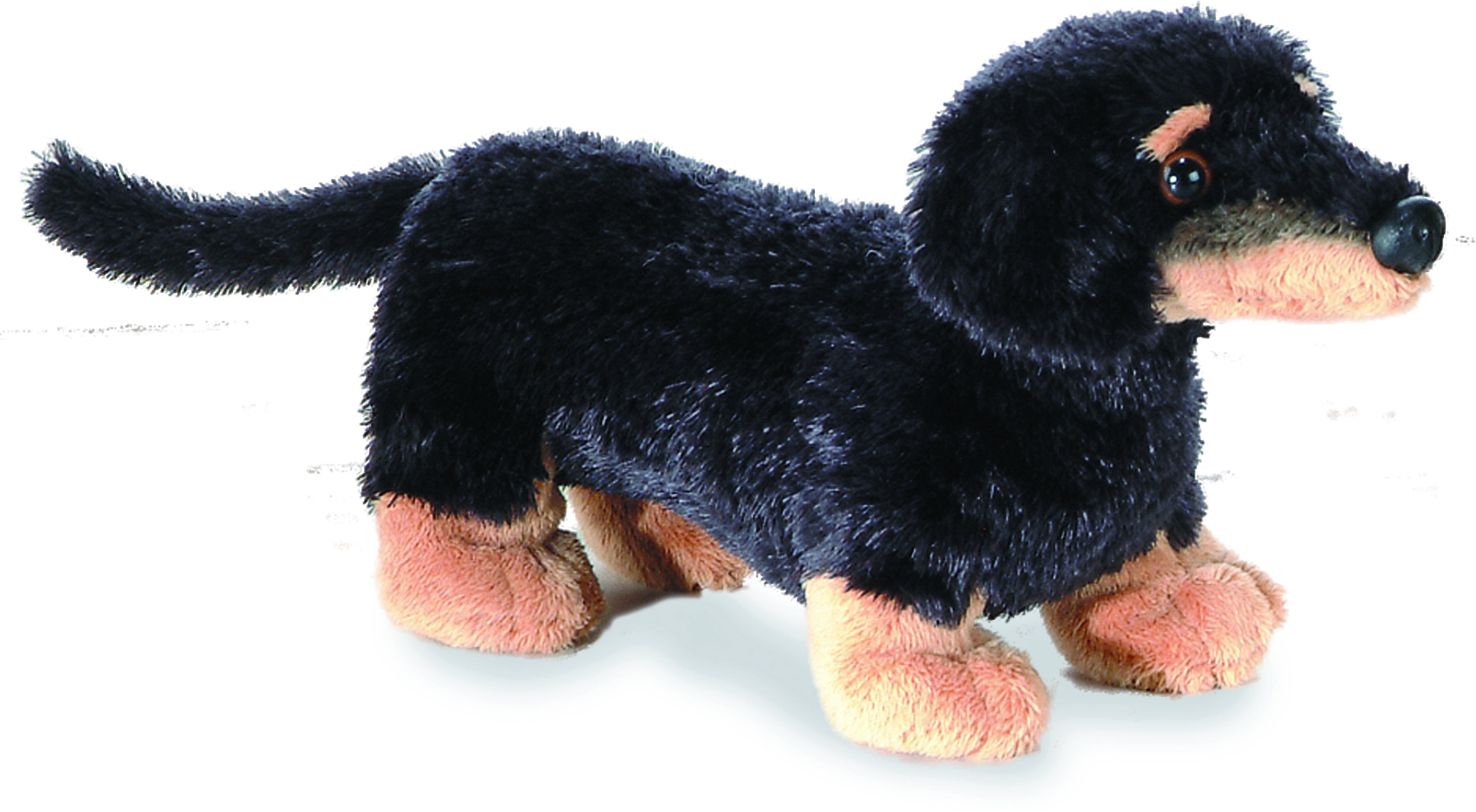 plush dachshund dog