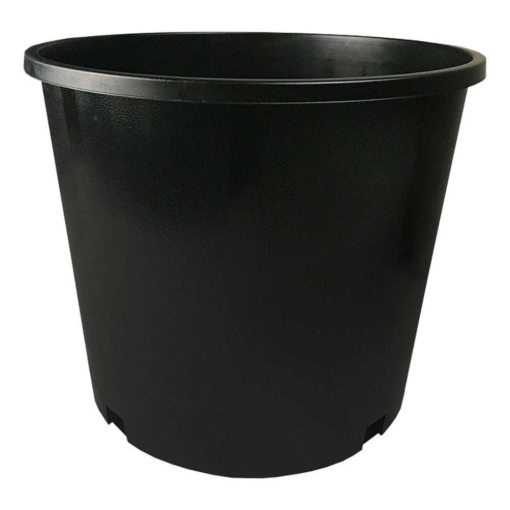 Black Plastic Quantity of Five Teku Rose Pot 5 