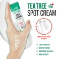 thumbnail image 3 of KISS NEW YORK Tea Tree Spot Cream Korean Skincare Lightweight Face Spot Cream for Blemishes, 3 of 8