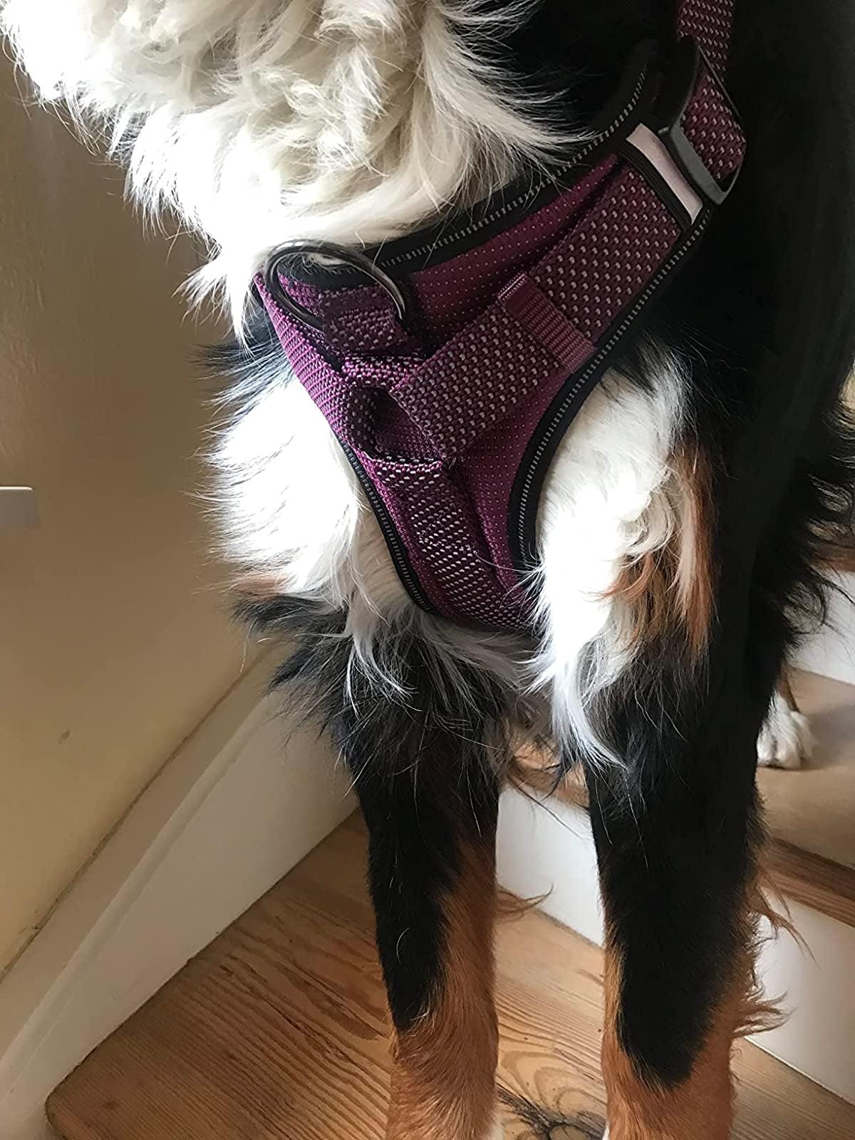 LOS ANDES Full Reflective Dog Harness Adjustable Harness No Pull Pet Harness with Front Clip, Soft Padded Dog Vest with Handle, Easy Control Dog Harnesses for Small Medium Large Dogs