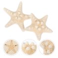 thumbnail image 2 of 2 Pcs Décorations Étoile de Mer Naturelle DIY Décoration Étoile de Mer Aquarium Portable, 2 of 8