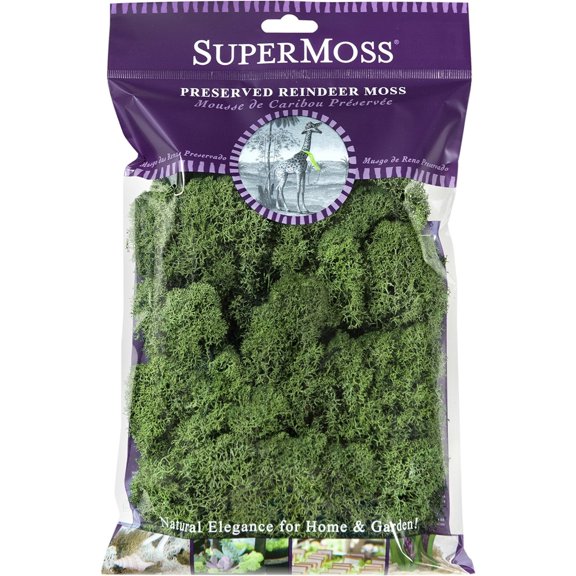 SuperMoss Preserved Reindeer Moss, Basil, Approx. 2oz - Use to Cover Soil, Dress Orchids or Ornamentals, or Adding Natural Accents
