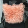 thumbnail image 5 of PATLOLLAV Ultra Soft Plush Pillow Case,Faux Fur Solid Throw Decorative Pillow Cover Cushion Covers Luxury Soft Decorative Pillowcase Fuzzy Pillow Covers for Bed Couch,16 x 16 Inches,, 5 of 5