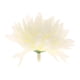 thumbnail image 4 of 10 Pedazos Flor Pompones de Tela Artificiales Decoración Crema, 4 of 7