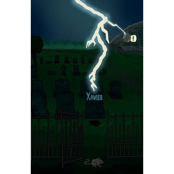 Xavier, (Paperback)