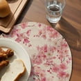 thumbnail image 3 of Peaches Branches Round 13 Inch Placemats Set of 2, Farmhouse Spring Botanical Pink Flowers HeatResistant Non Slip Place Mats for Dining Table, Wipeable Braided Kitchen Table Mats for Housewarming, 3 of 9