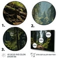 thumbnail image 3 of Designart "Redwood National Park Exploring the Forest III" Landscapes Floater Framed Wall Art Living Room, 3 of 7