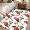 thumbnail image 5 of Christmas Cardinal Bird Area&nbsp;Rug 3x5ft Red Bird Pine Leaves Farmhouse Non-Slip&nbsp;Washable Square&nbsp;Rugs Soft Felt Indoor Floor Mat for Bedroom Kitchen Living Room Bathroom, 5 of 9