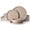 Cinnamon Brown, variant on Famiware Galaxy Stoneware Dinnerware Sets, 12-Piece Dish Set, Beige