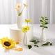 thumbnail image 4 of Juego de 6 Jarrones de Vidrio, Floreros Pequeños de Cristal, Jarrones de Cristal Decorativo para Centro de Mesa, para Bodas Rústicas, Arreglos Florales, Decoración de Mesa del Hogar, 4 of 4