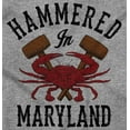 thumbnail image 2 of Hammered in Maryland Funny MD Party Unisex Fleece Graphic Zip Up Hoodie Brisco Brands 5X, 2 of 5