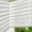 Cream, variant on Zebra Blinds Cordless, Zebra Roller Shades for Windows (61" W x 72" H, White) Light Filtering Day and Night Window Drapes Sheer Shades for Home, Bedroom and Sliding Door Easy to Install