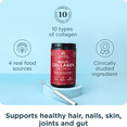 thumbnail image 3 of Ancient Nutrition Hydrolyzed Collagen Peptides Powder, Unflavored Multi Collagen Powder for Women and Men, 20 Servings, Supports Skin and Nails, Gut Health, 3 of 8