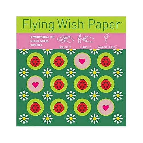Flying Wish Paper Ladybug Licensed Original Artwork, Mini Wishing Kit, 5" x 5"