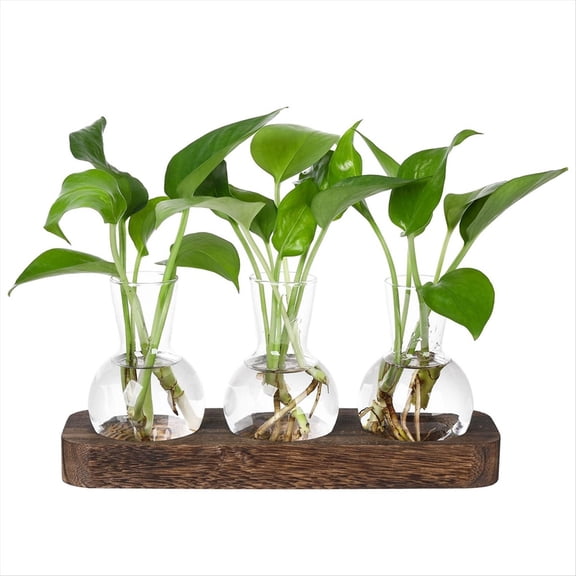 Quaqdae Plants Propagation Stations Glass Vase Station Retro Plant Terrarium with Wooden Tray Bulb Flower Home Office Decor